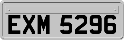EXM5296