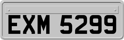 EXM5299