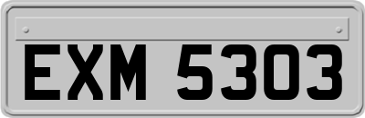 EXM5303
