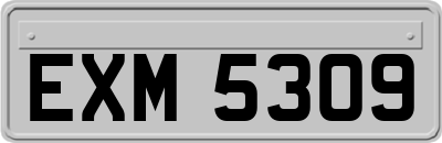 EXM5309