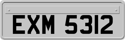EXM5312