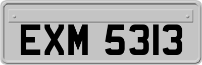 EXM5313