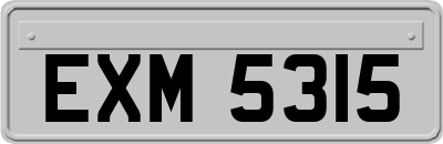 EXM5315