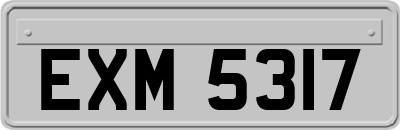 EXM5317