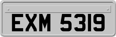 EXM5319