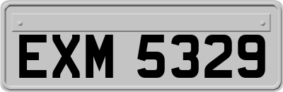 EXM5329
