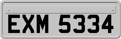 EXM5334