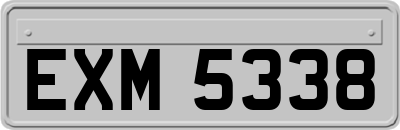 EXM5338