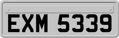 EXM5339