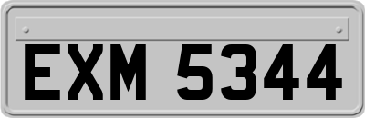 EXM5344