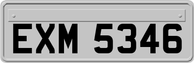 EXM5346
