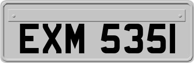 EXM5351