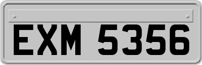 EXM5356