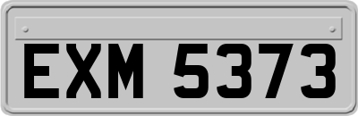 EXM5373