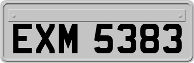 EXM5383
