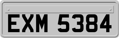EXM5384