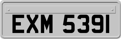 EXM5391