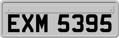 EXM5395