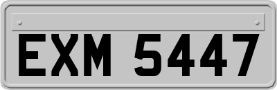 EXM5447
