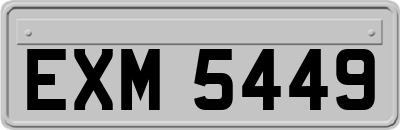 EXM5449
