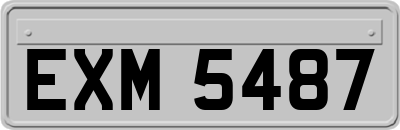 EXM5487