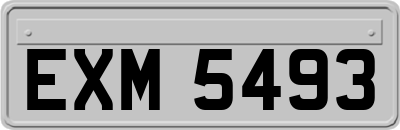 EXM5493