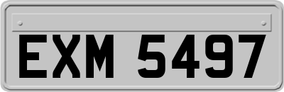EXM5497