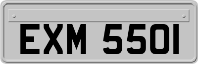 EXM5501