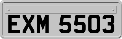 EXM5503