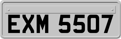 EXM5507