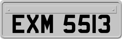 EXM5513