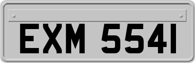 EXM5541