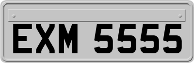 EXM5555