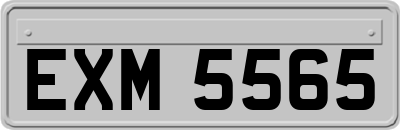 EXM5565