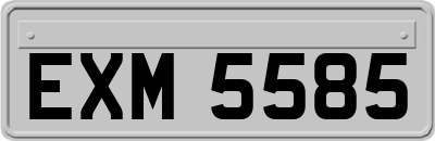 EXM5585