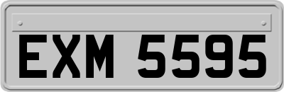 EXM5595