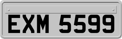 EXM5599