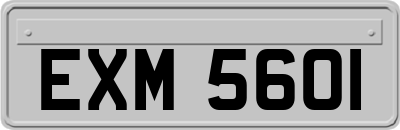 EXM5601