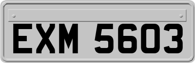 EXM5603