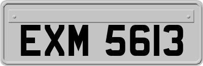 EXM5613