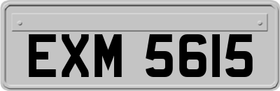 EXM5615