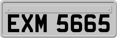 EXM5665