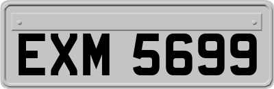 EXM5699