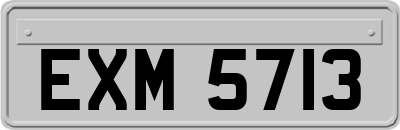 EXM5713