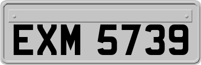 EXM5739