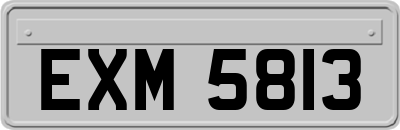 EXM5813