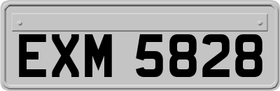 EXM5828