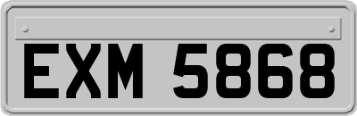 EXM5868