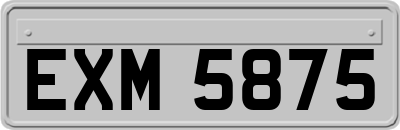 EXM5875