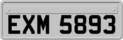 EXM5893